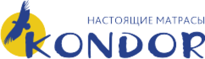 Разработанный интернет-магазин kondor.by